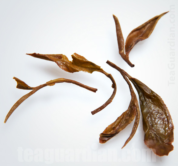 Infused Leaves of Fuding Semi Black White