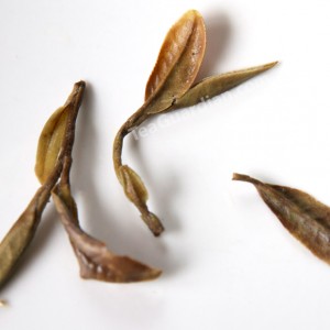 infused leaves of white peony (bai mudan)