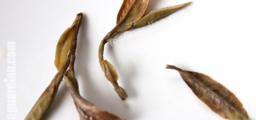 infused leaves of white peony (bai mudan)