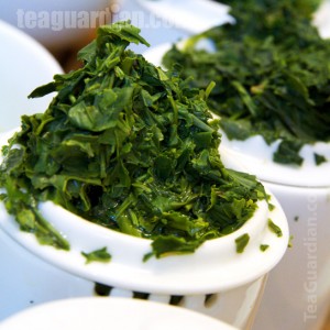 Infused leaves of a premium sencha on the taster mug
