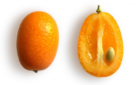 kumquat, or komquat