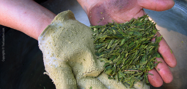 Hand showing longjing just roasted from the wok