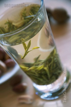 Longjing infused in waterglass