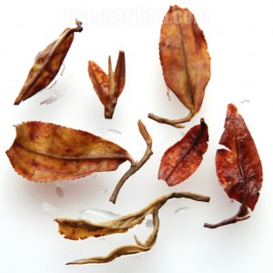 Infused tealeaves: Nepal semi-oxidized