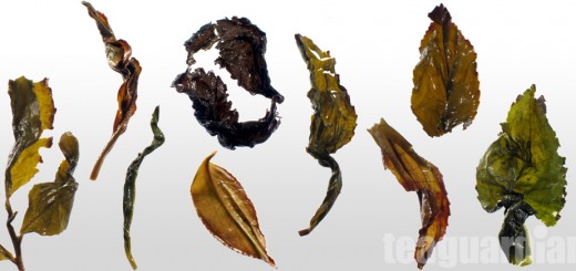 The infused leaves of a few different oolongs