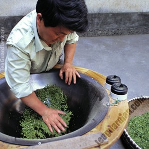 Press-forming the tea leaves during roasting