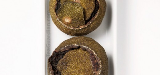 Pu'er stuffed in tangerine