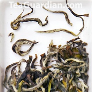 Fuding semi-black white tea