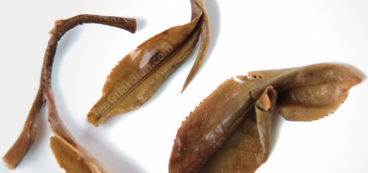 Infused Tealeaves of Shengcha Pu'er