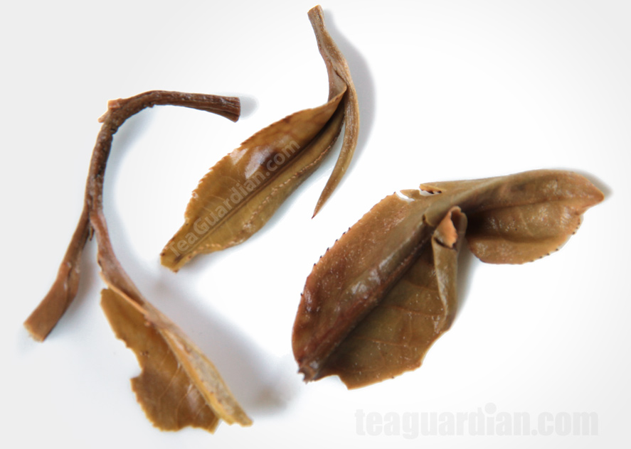 Infused Tealeaves of Shengcha Pu'er