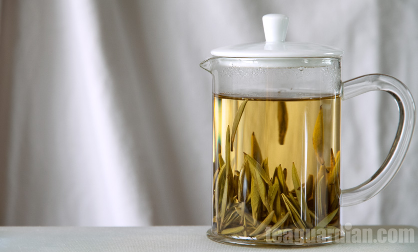 Infusing Silevr Needles