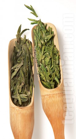 two green tea stored differently