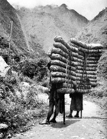 tea porters on rough terrain road