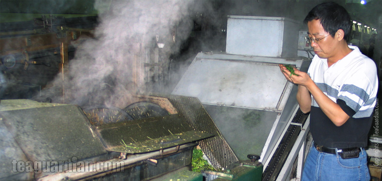 Green tea production: steaming