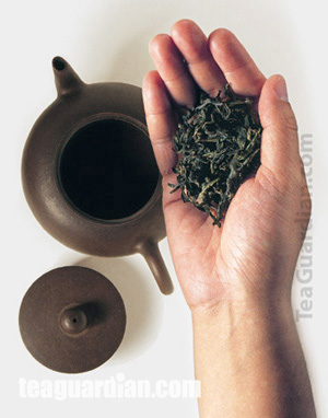 Putting tealeaves into a Yixing teapot