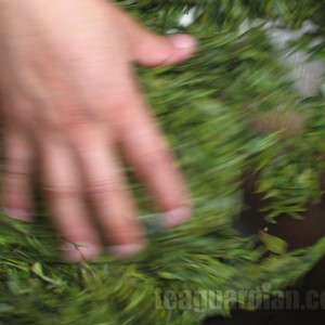 Wok roasting green tea