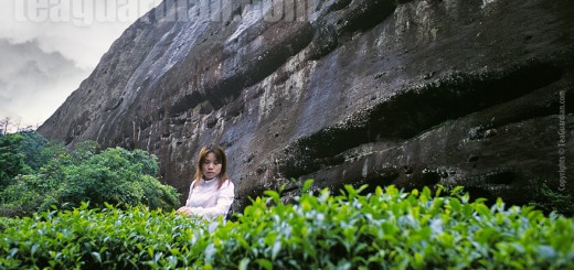 Xiao Fan under the rock