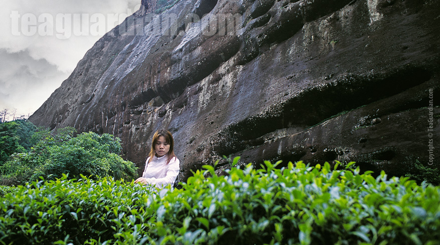 Xiao Fan under the rock