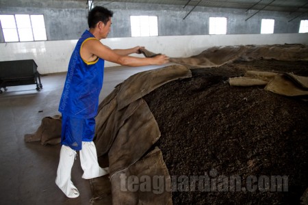 Covering the pile for oudui: post-fermentation