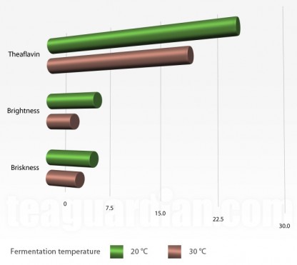 Effects of fermentation on final quality of black tea