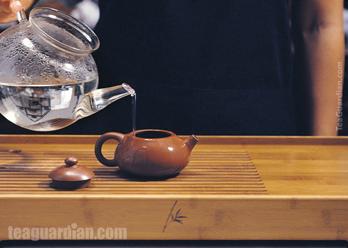 Gongfu Infusion Fundamental Steps: Fill pot