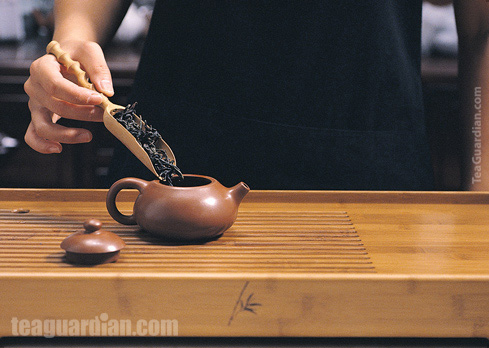 Gongfu Infusion Fundamental Steps: Drop leaves