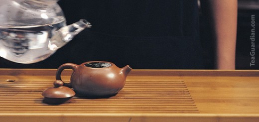 Gongfu Infusion Fundamental Steps: Blanch tea leaves