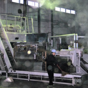 Tea processing automation in a green tea factory