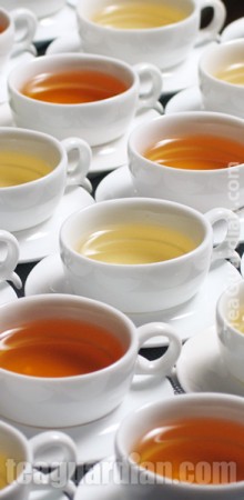 Green and Black Tea in Small Porcelain Cups