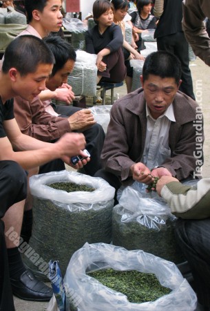 Tea buying in Anxi Tea Market