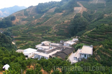 Layout of an oolong village