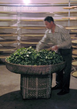 Dui Qing: piling up of the leaves