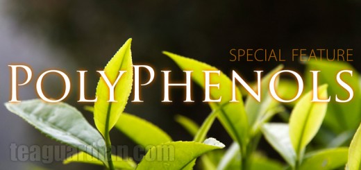 Tea Polyphenols Special Feature Title