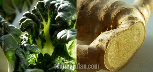Bok Choi and Ginger: What does Traditional Chinese Medicine has
