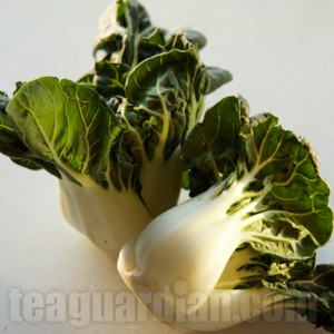Bok Choi