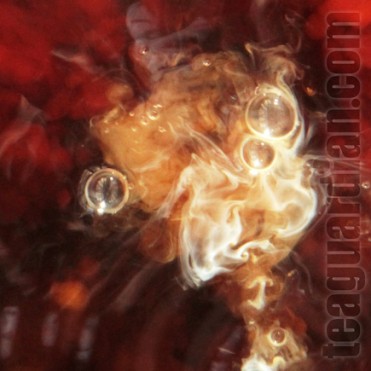 Milk in tea: Is it Good for Your Health?