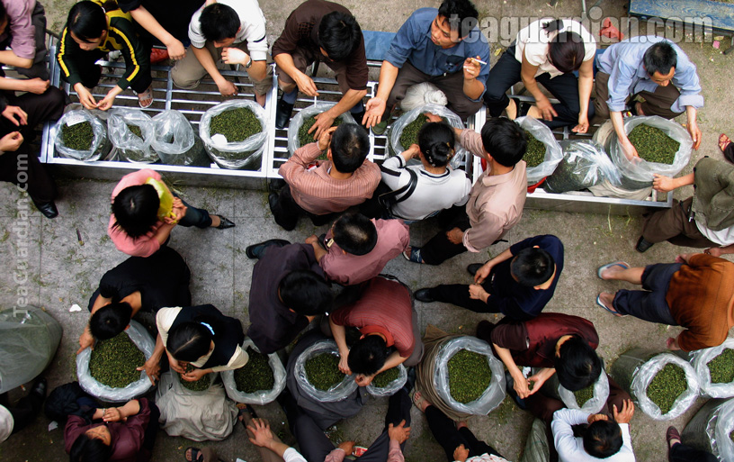 Tea farmers' market, Fujian