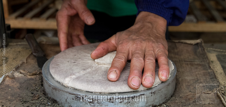 A cha bing is freshly compressed in the press