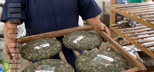 Worker with freshly compressed cha bing