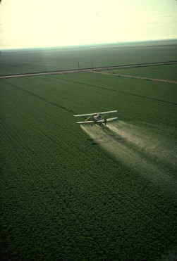 Pesticide spraying in California …at the height of industrialization of agriculture in the West… huge landmass was converted into deserts of a single plant each…
