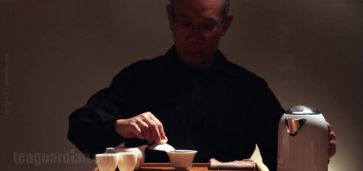 Gongfu Infusion Chapter 2