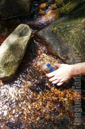 Bottling water from the stream