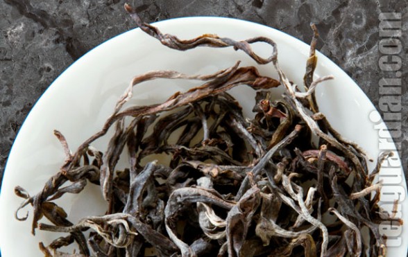 Laos maocha for making pu'er shengcha