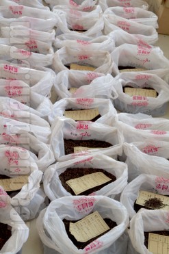 Some pu'er formulae can be made up of over 30 selections