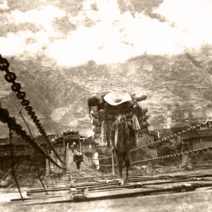 Tea porters, photo by Sun Mingjing, 1930's
