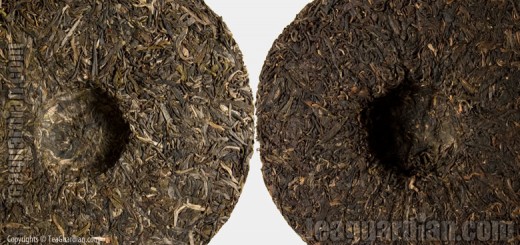 Two puer discus ( cha bing )