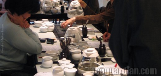 Gongfu tea study in a tea class setting