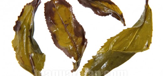 Infused leaves of Wuyi Meizhan