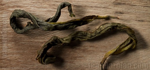 dry leaves of a traditional oolong