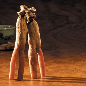 Korean red ginseng roots